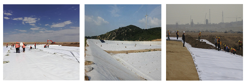 PP Woven fabric